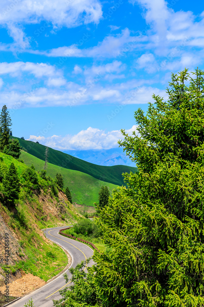 Green tree and mountain in nalati grassland,Xinjiang,China. Green tree and mountain in nalati grassland,Xinjiang,China.