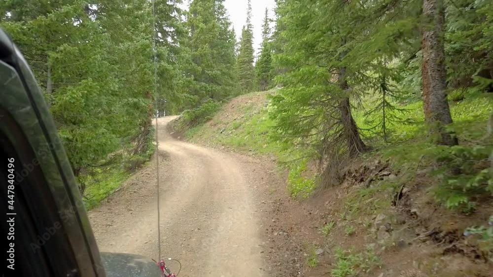 POV while driving a off road vehicle on a wooded portion of Engineer Mountain trail through the San Juan mountains near Ouray Colorado; concepts of off roading and adventure POV while driving a off road vehicle on a wooded portion of Engineer Mountain trail through the San Juan mountains near Ouray Colorado; concepts of off roading and adventure