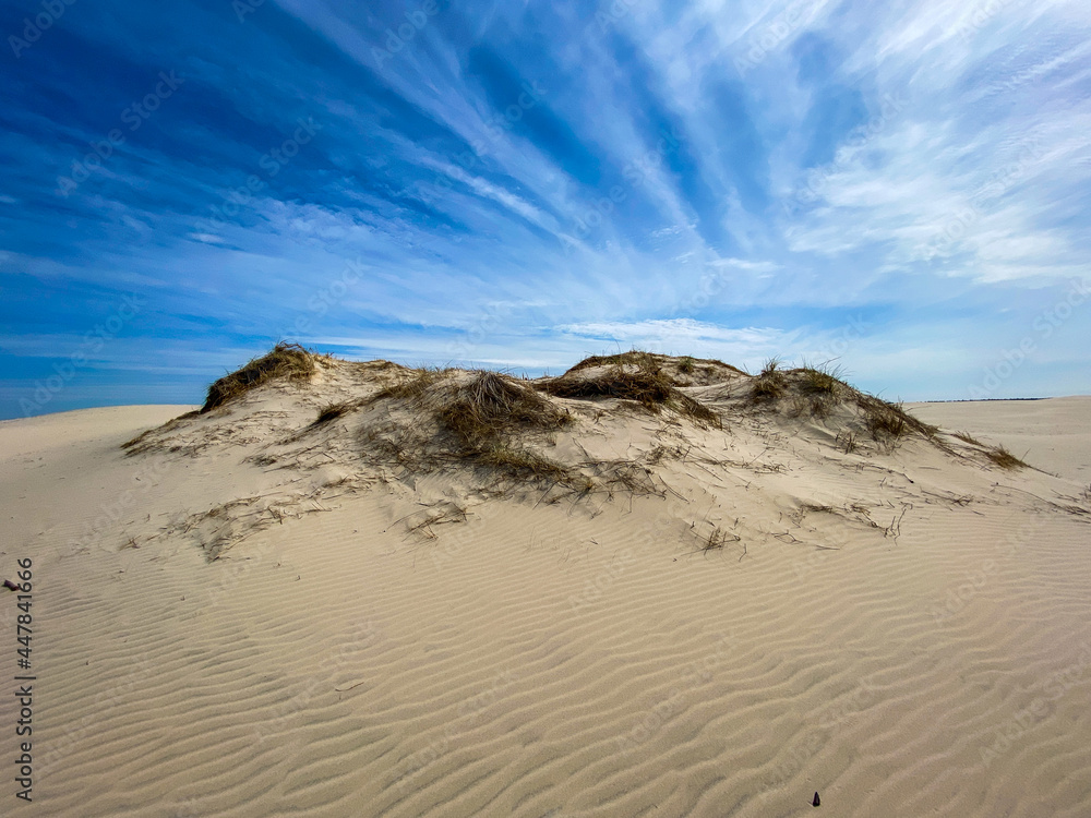 Beautiful small sand dune on a sunny day in the desert Råbjerg Mile in the touristic village of Skagen in Northern Denmark, Jutland