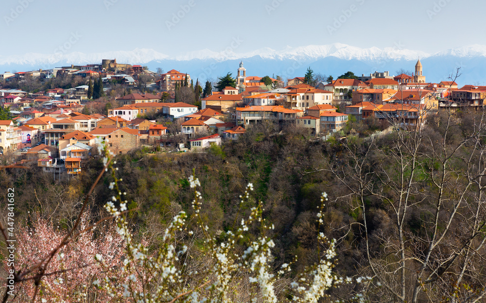 Picturesque view through flowering tree branches of small Georgian town of Sighnaghi with terracotta roofs 
