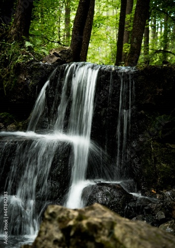 waterfall in the forest