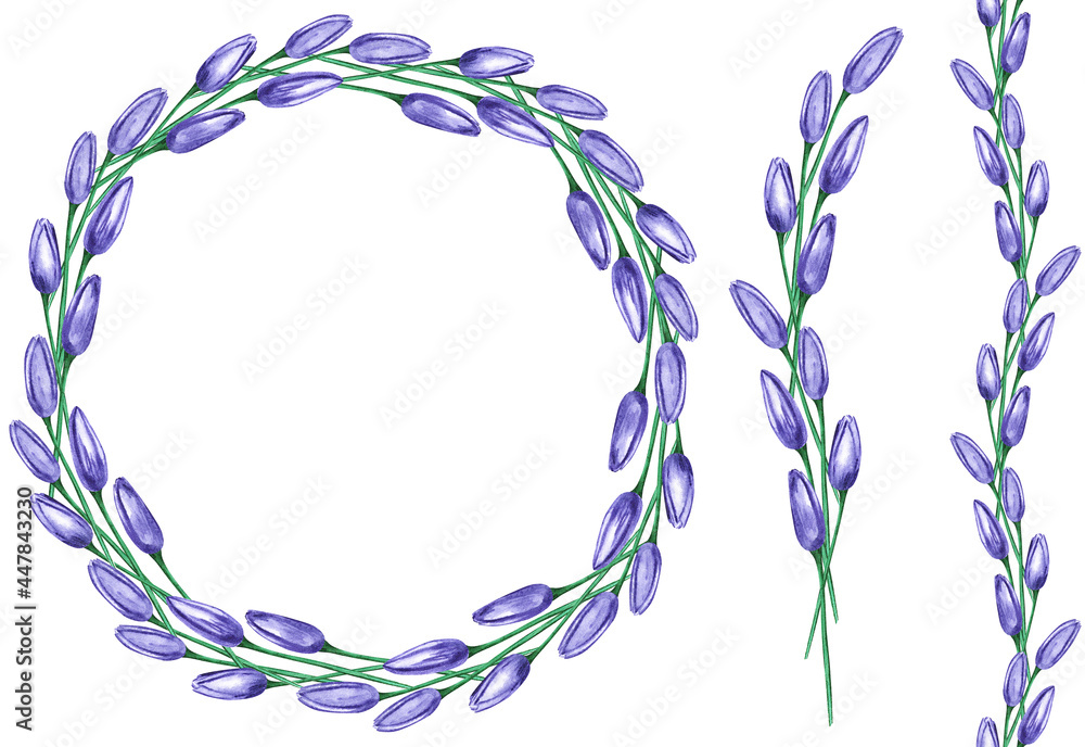 Wreath of purple tulips, seamless line of flowers, individual buds, watercolor Wreath of purple tulips, seamless line of flowers, individual buds, watercolor