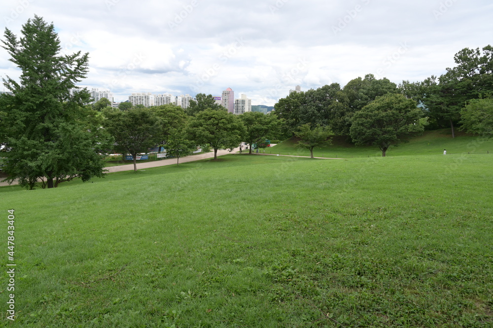 big park with grass and trees