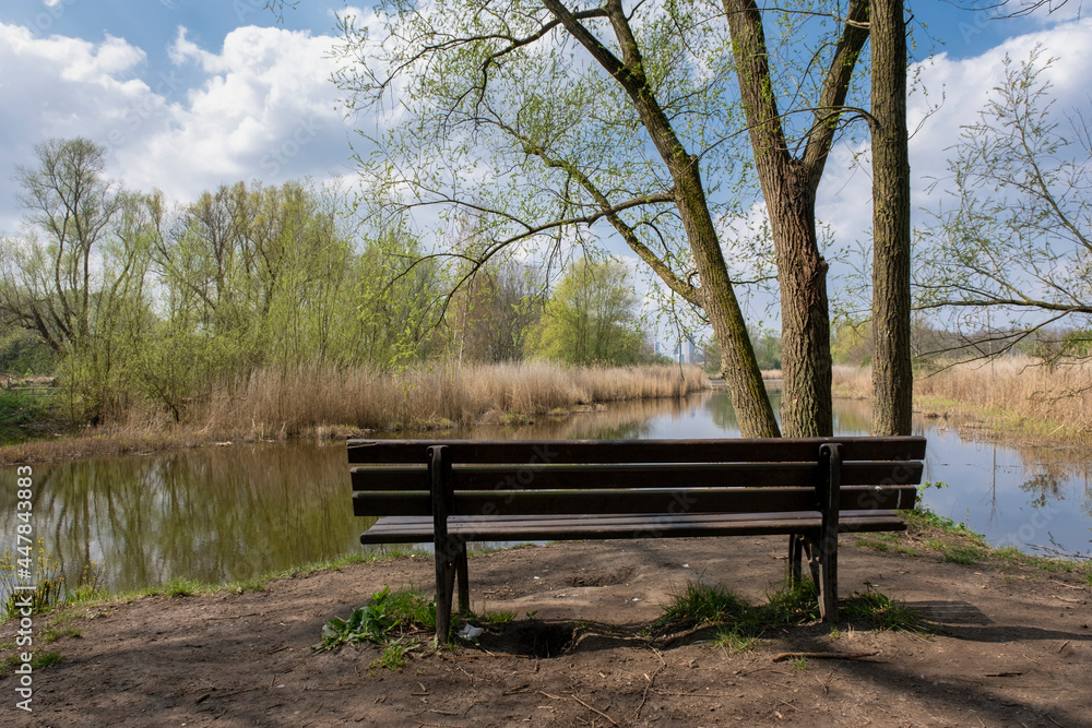 Wooden park bench in nature. A good place to sit in Rotterdam