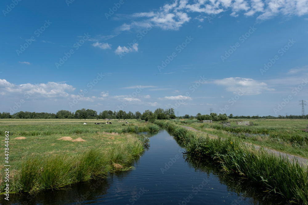 fence and meadows in waterland noord-holland in countryside north of amsterdam fence and meadows in waterland noord-holland in countryside north of amsterdam