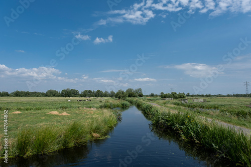 fence and meadows in waterland noord-holland in countryside north of amsterdam