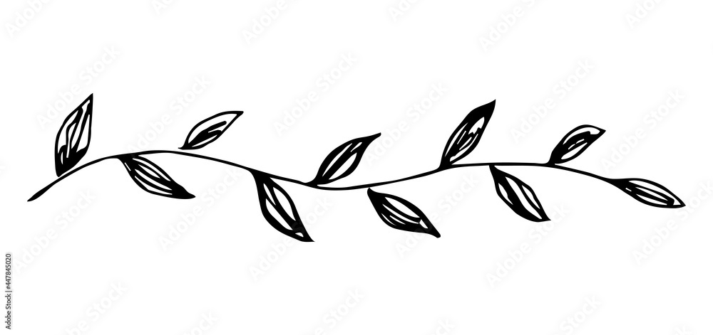 simple leaf simple leaf drawing simple leaf outline png download -  3277*2121 - Free Transparent Simple Leaf png Download. - CleanPNG / KissPNG