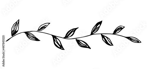 Simple hand-drawn vector drawing in black outline. Long garland of leaves, banner. Ink sketch. Horizontal branch isolated on a white background.