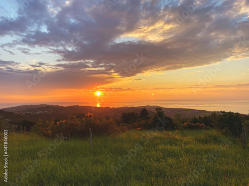 sunset over the field