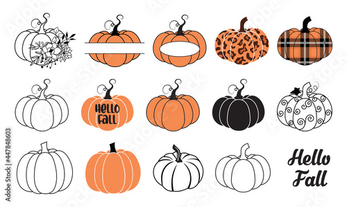 Pumpkin vector  illustration bundle, set of pumpkins, fall autumn pumpkin collection