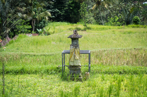 A small Balinese temple in the rice fields. A peaceful agricultural scenery with holy shrine on a summer day. photo