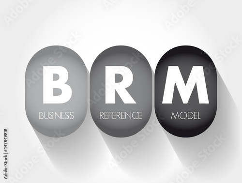 BRM - Business Reference Model acronym, business concept background
