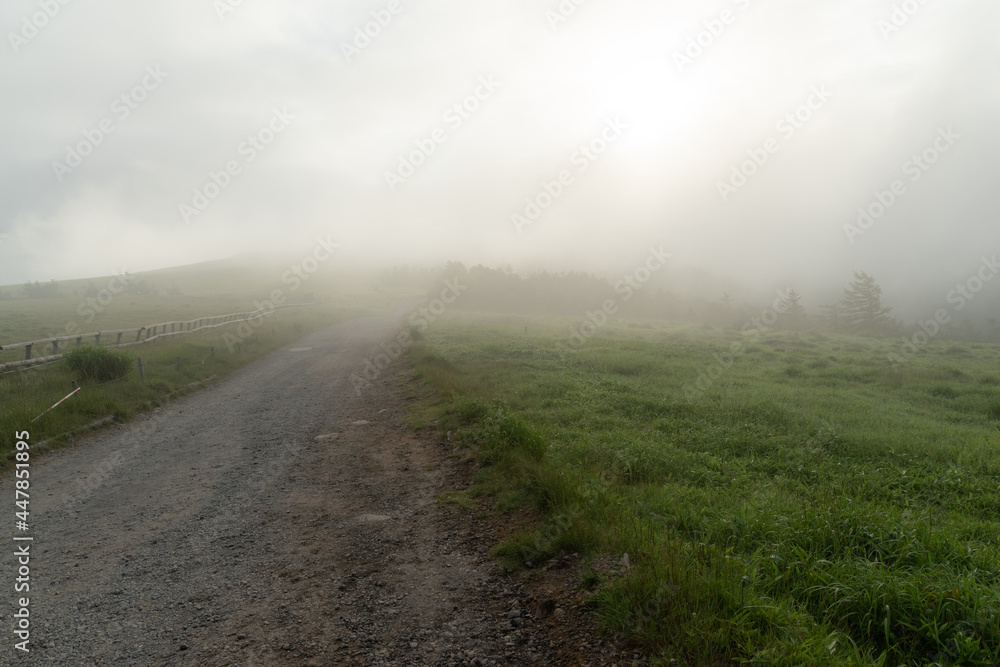 霧の中の美ヶ原高原