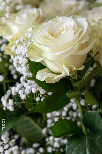 Beautiful romantic bouquet of white roses.