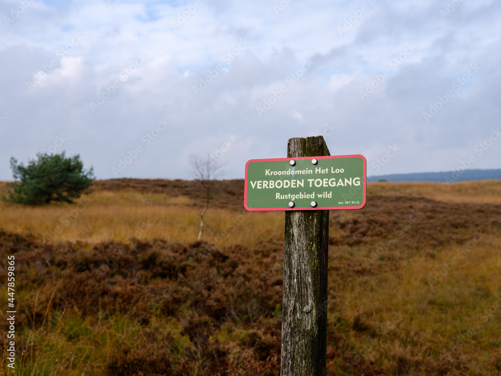 Asselche heide, Gelderland Province, The Netherlands Asselche heide, Gelderland Province, The Netherlands