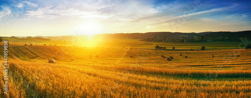 Natural rural panoramic landscape. Golden straw in the field after the wheat harvest in rays of sunlight at sunset against background of sky with clouds.