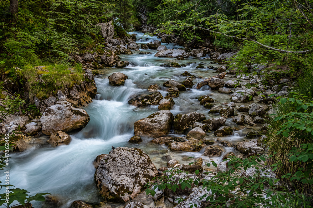 Magic Forest Zauberwald at Lake Hintersee with Creek Ramsauer Ache. National Park Berchtesgadener Land, Germany