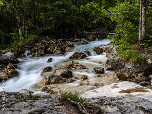 Magic Forest Zauberwald at Lake Hintersee with Creek Ramsauer Ache. National Park Berchtesgadener Land, Germany