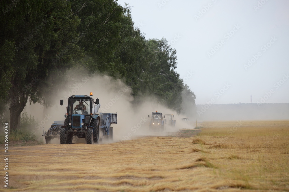 Fototapeta premium A many wheeled tractors with harvester trailers fast drive on dusty road on harvested linen field edge, linum harvesting in Europe at summer day