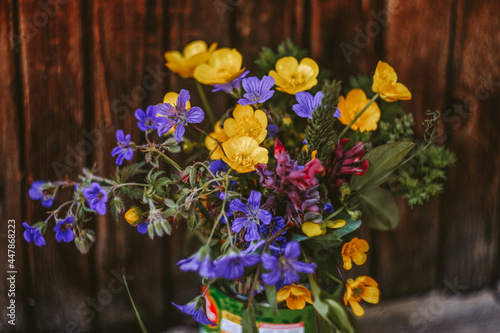 Wallpaper Mural flowers Torontodigital.ca