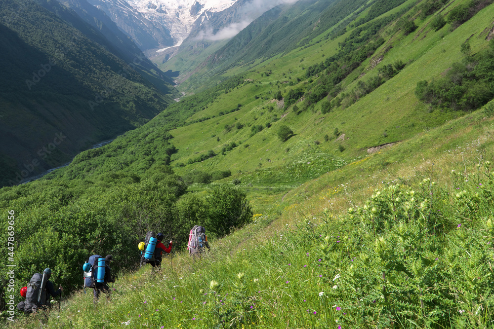 Group of tourists walking towards Mount Kazbek along Genaldon river gorge on sunny summer day. North Ossetia–Alania, Caucasus, Russia.