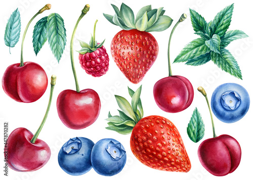 Fototapeta Naklejka Na Ścianę i Meble -  Berries blueberries, raspberries, sweet cherries, strawberries, mint leaves, watercolor illustration