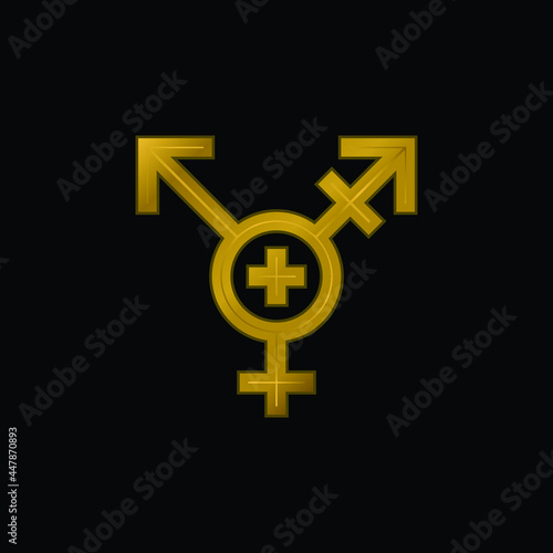 Androgynous gold plated metalic icon or logo vector