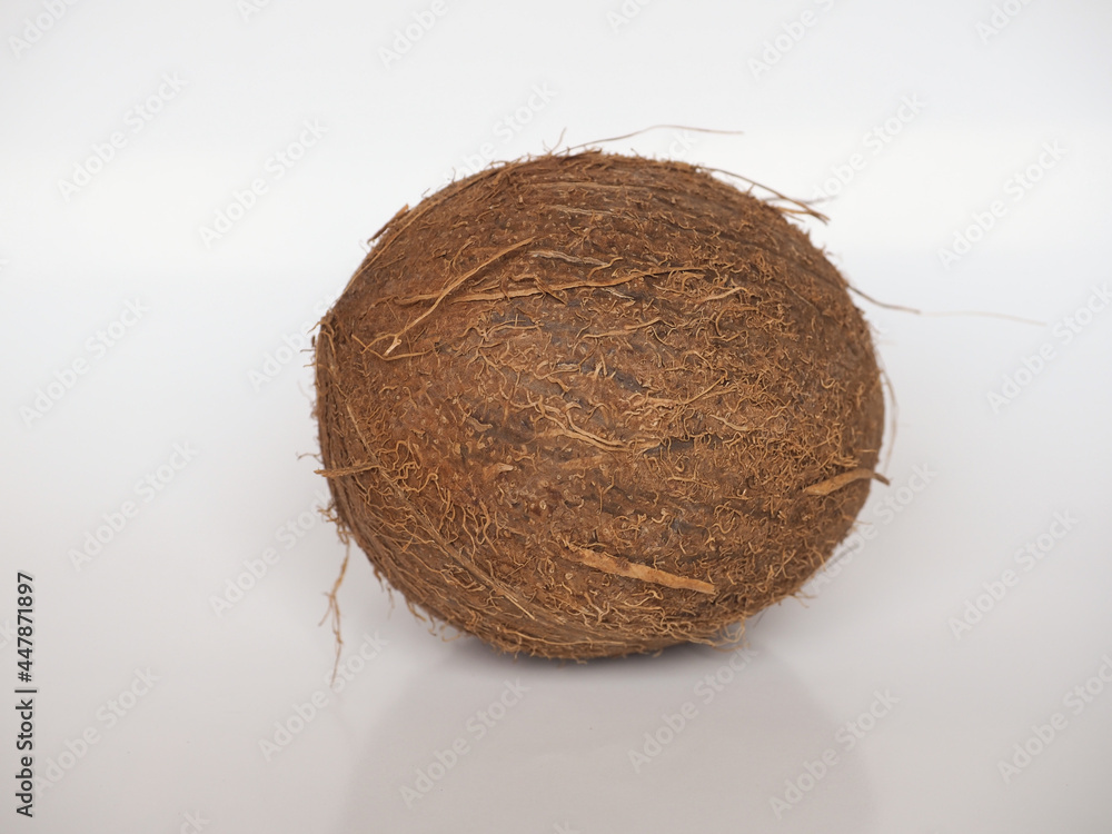 coconut (Cocos nucifera) fruit coconut (Cocos nucifera) fruit