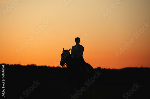 Horse riding on sunset silhouette 