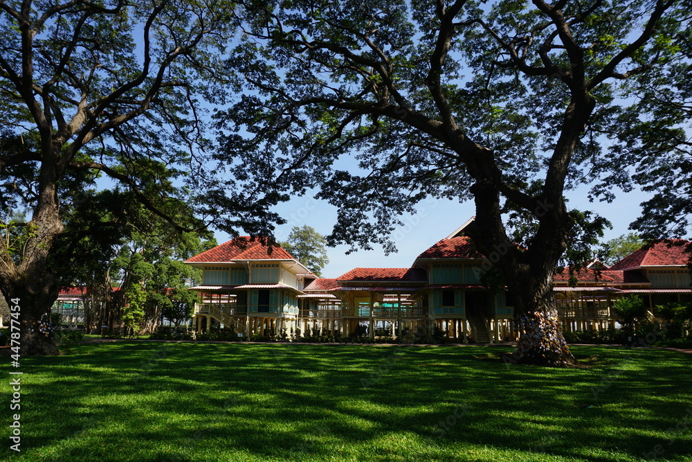 shaded by large trees make it comfortable shaded by large trees make it comfortable