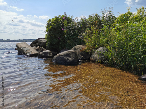 The shore of a forest lake with flowers, bushes and boulders on the background of a blue sky with clouds.