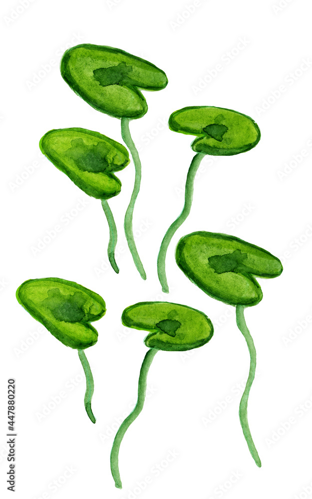 Hand drawn watercolor illustration with sea, underwater life.Calm green algae from the deep sea. Set with hand-painted watercolor elements isolated on white.Nautical elements, sea life, fish, seahorse Hand drawn watercolor illustration with sea, underwater life.Calm green algae from the deep sea. Set with hand-painted watercolor elements isolated on white.Nautical elements, sea life, fish, seahorse