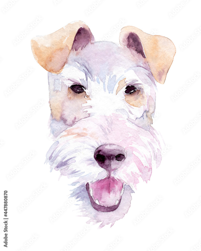 watercolor drawing of a pet - dog. smooth fox terrier