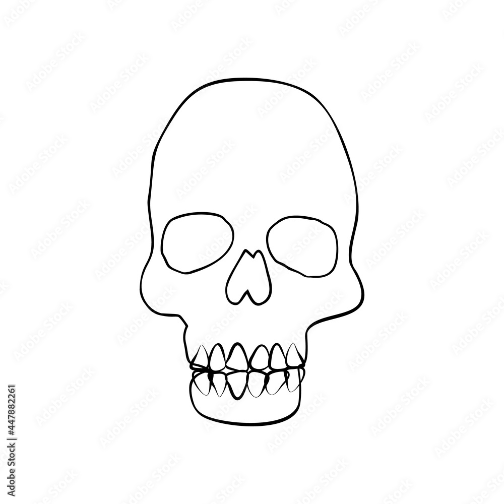 Vintage Mystic line art Skull Illustration. Skull Halloween Design.