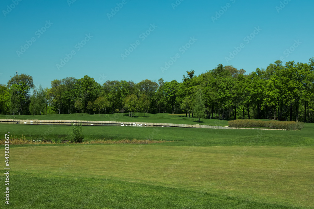 Picturesque view of golf course with fresh green grass and trees Picturesque view of golf course with fresh green grass and trees