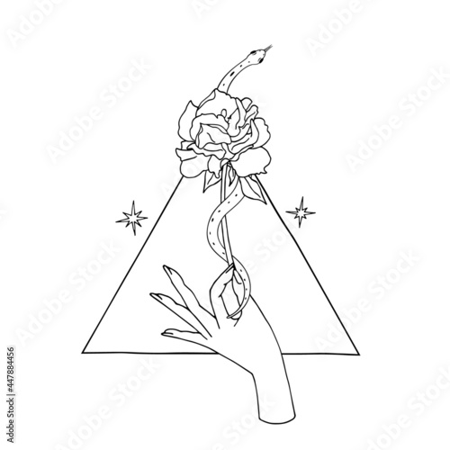 Vintage Mystic hand holding rose with a snake coiled around the flower with triangle on background Illustration