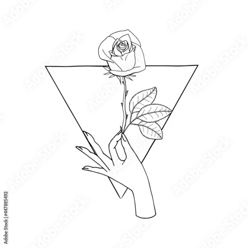 Vintage Mystic Hand holding rose flower drawing on triangle shape background.