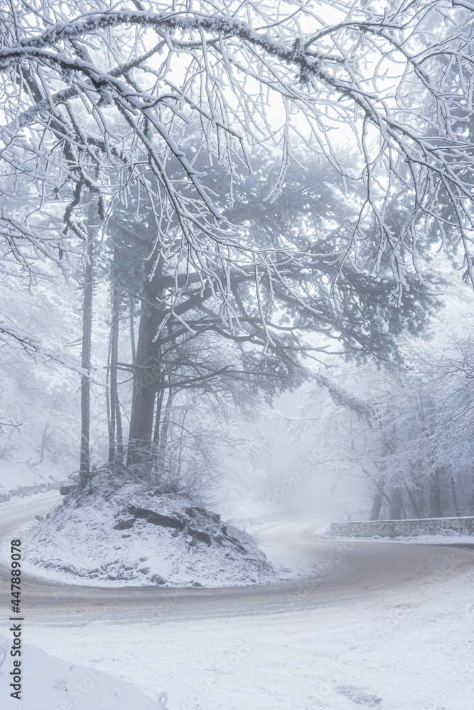Winter road in the forest. Mountain serpentine and snow-covered tall trees. A trip to the mountains, winter adventures, a beautiful landscape in a foggy winter forest. Empty roads without cars.
