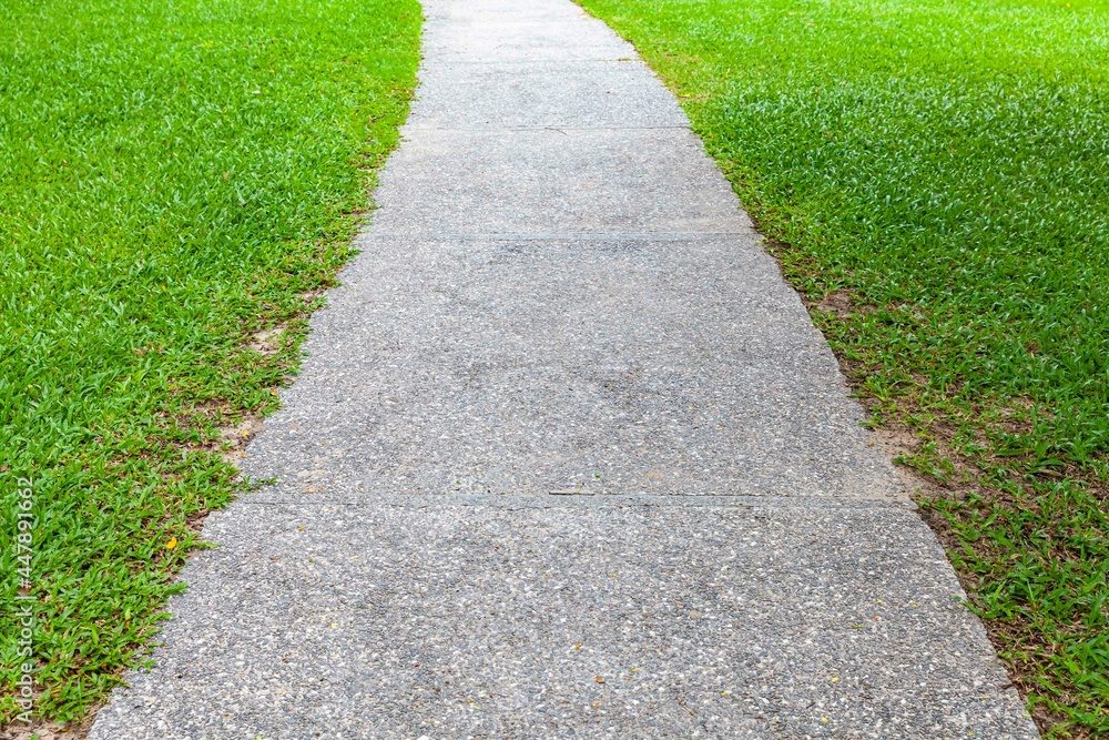 White natural stone pathway and green lawn White natural stone pathway and green lawn