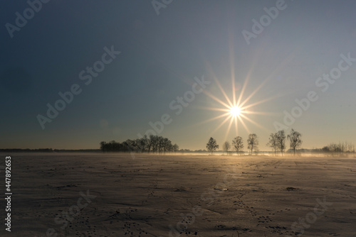 Winter landscape with trees and bright shining sun