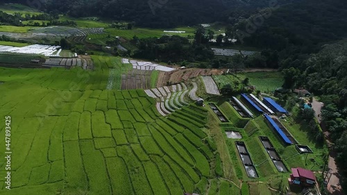 Aerial landscape view of rice fields at Mae Klang Luang in Doi Inthanon National Park, Chiang Mai, Thailand.