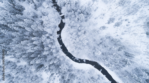  Aerial view of frozen river in winter forest with snowy trees. Winter nature, aerial landscape with winding river and trees covered white snow.