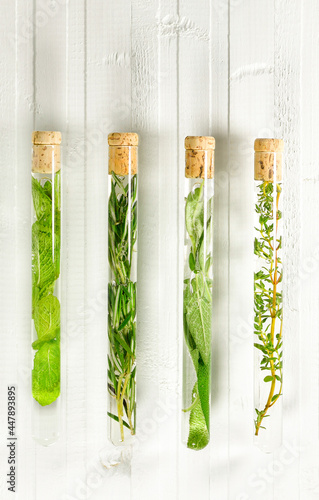 A set of four test tubes with infusions of medicinal herbs. On white boards, vertically parallel.