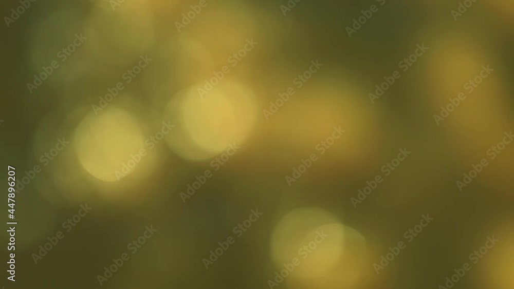 Unsharp circles moving. Soft light circles out of focus, bokeh. Unsharp circles moving. Soft light circles out of focus, bokeh.