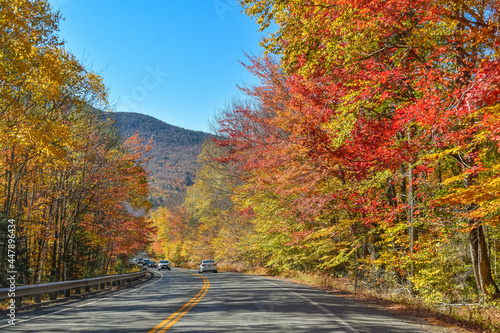 New England Fall Foliage