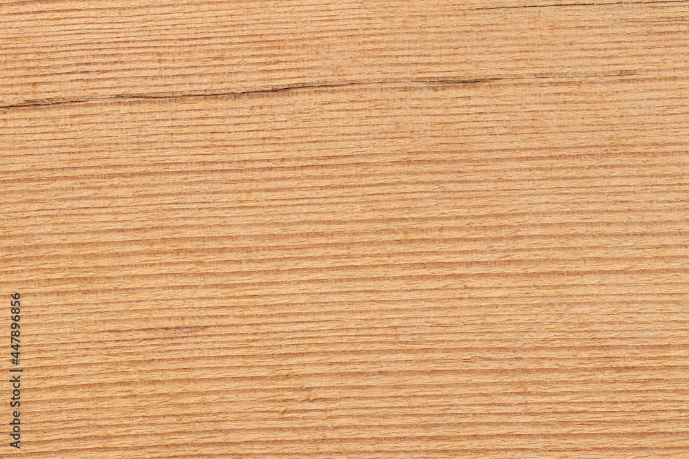 Pine tree cut texture. Light wood texture close up. Pine tree cut texture. Light wood texture close up.