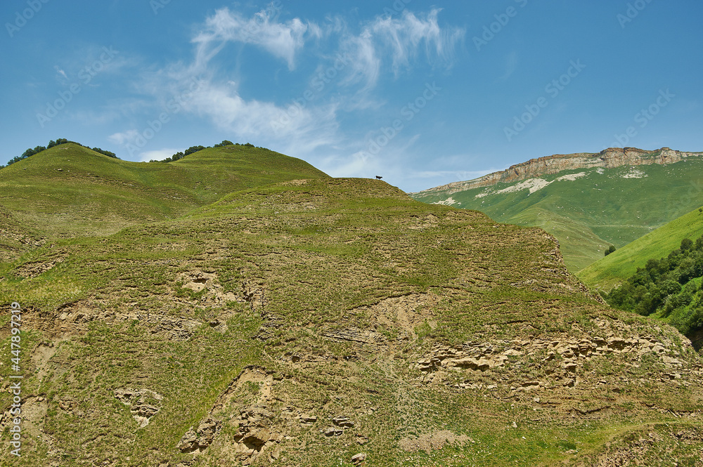 Fototapeta premium Scenic view of green meadows Dagestan, Russia