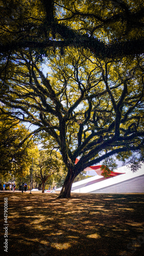 autumn in the park