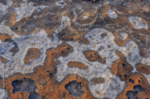 Salt formation in the Dead Sea of Jordan