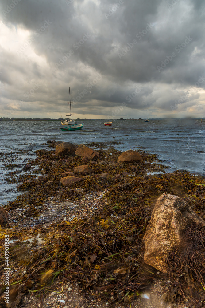 Beach with seaweed reefs, blue water, sailing ships and boats, dramatic sky